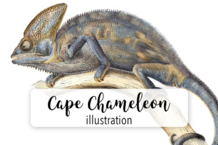 Cape Chameleon Watercolor: A Designer's Review