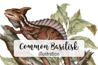 Common Lizard Basilisk Watercolor Illustrations