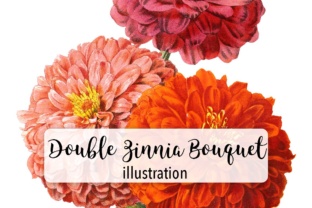 Double Zinnia Bouquet Watercolor: A Designer Review