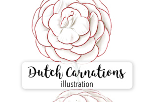 Dutch Carnation Watercolor Illustrations