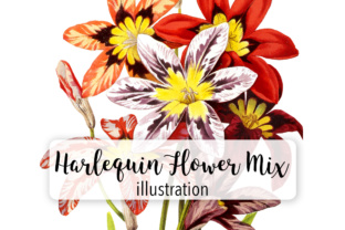 Herlequin Flower Mix Watercolor: A Designer Review