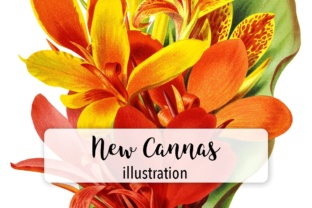 New Cannas Watercolor Embroidery Review