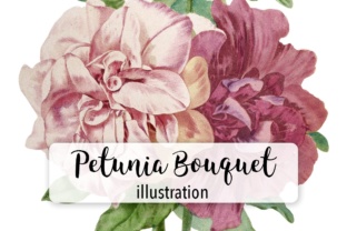 Petunia Bouquet Watercolor Illustrations