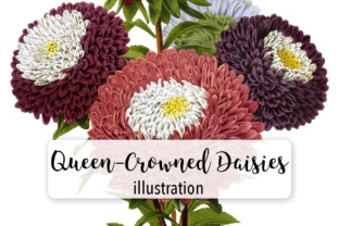 Queen Crowned Daisies Watercolor Illustrations