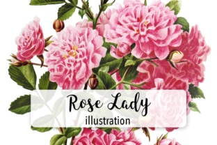 Rose Lady Watercolor Illustrations Review