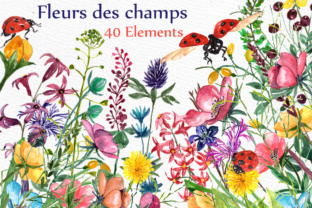 Watercolor Floral Clipart & Illustrations Review