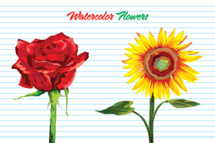 Watercolor Flower Style Illustrations Review