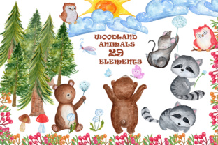 Watercolor Forest Animal Clipart & Illustrations
