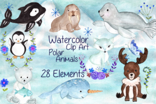 Watercolor Polar Animals Clipart Review