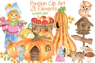 Watercolor Pumpkin & Harvest Illustrations Review