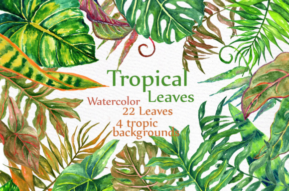 Watercolor Tropical Leaves Clip Art & Illustrations