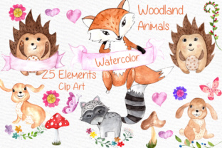 Watercolor Woodland Animals Clipart & Illustrations