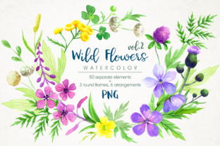 Wild Flowers Watercolor Set: Illustrations Review
