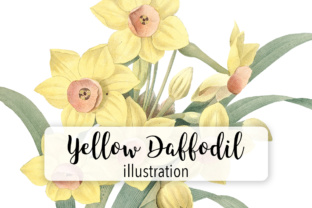 Yellow Daffodil Watercolor Flower Illustrations